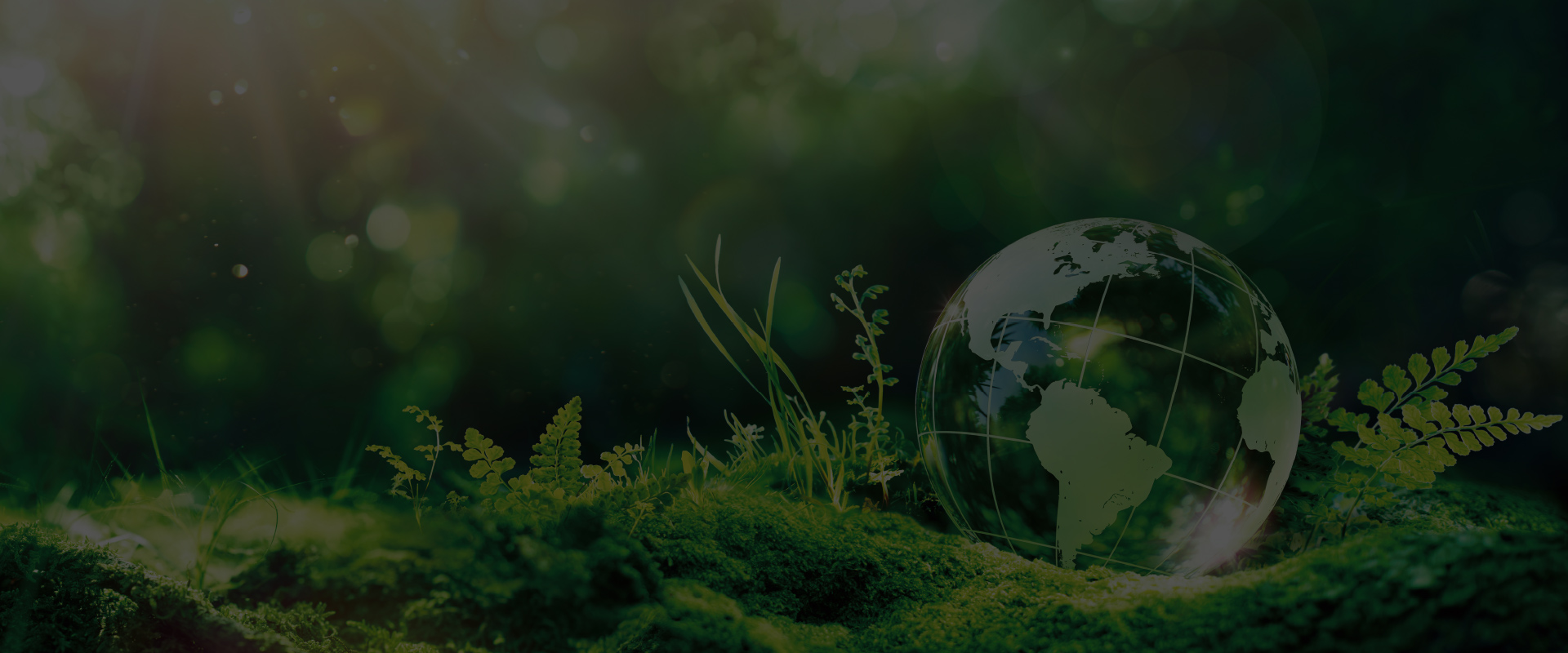 ZEH-M Oriented｜【公式】ドルチェヴィータ守口土居駅前｜信和不動産