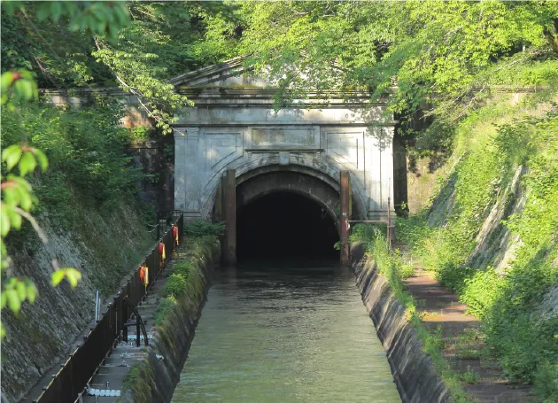 山科疏水 新緑