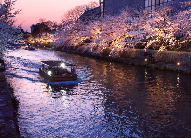 船 ライトアップ桜
