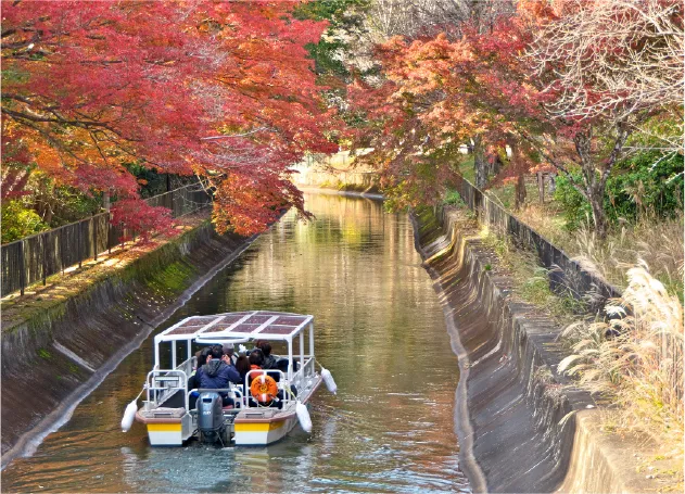 船 紅葉