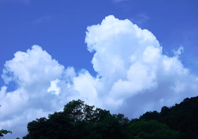 琵琶湖疏水の風景
