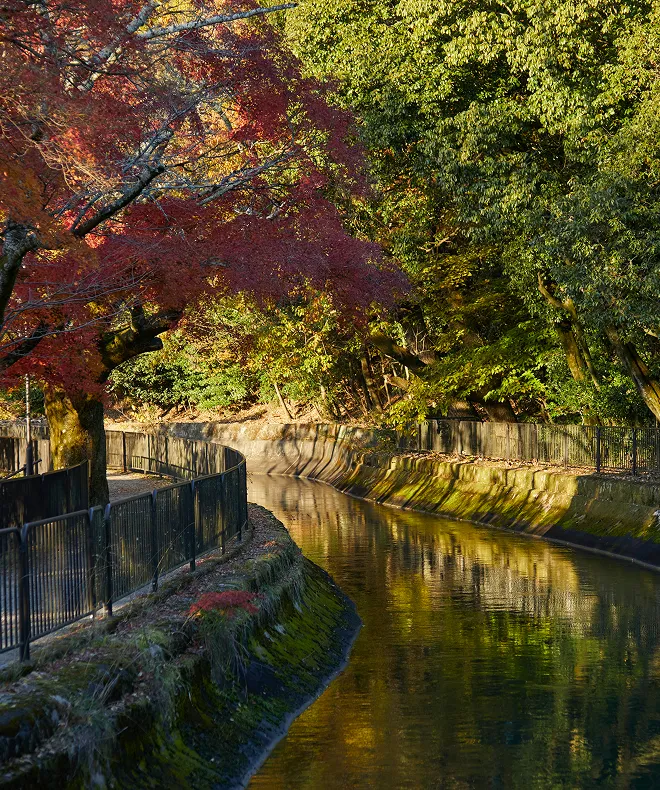 琵琶湖疏水の風景