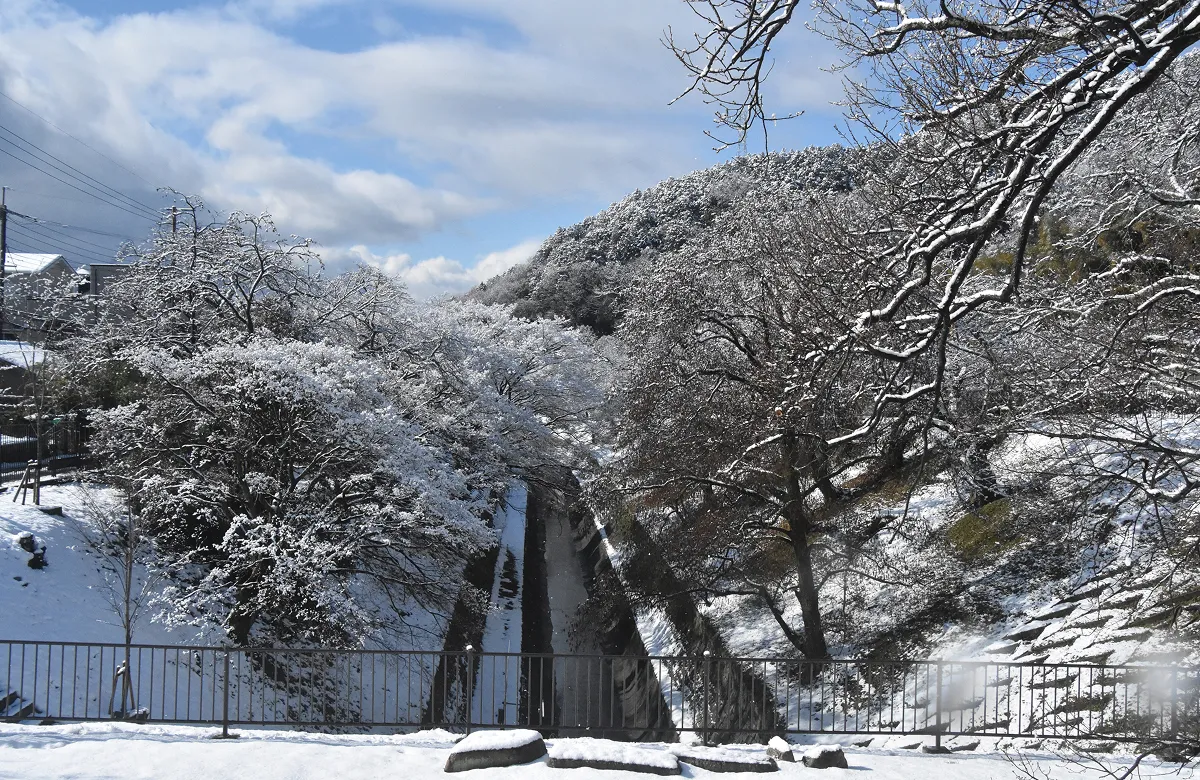 琵琶湖疏水の風景