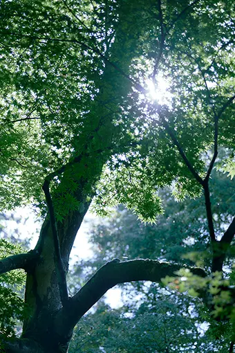 川風景イメージ