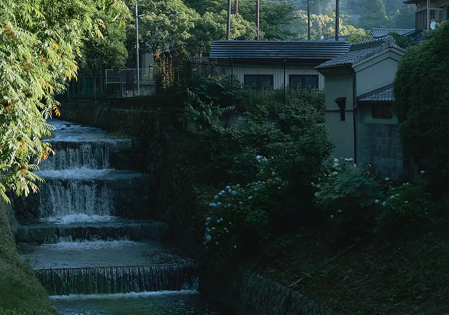 現地周辺風景