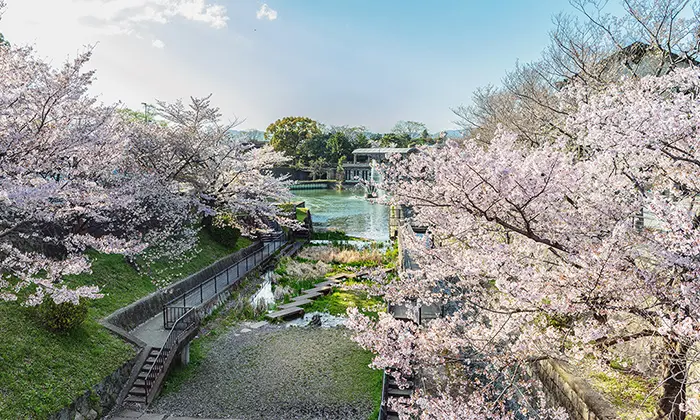 岡崎・南禅寺特別修景地域