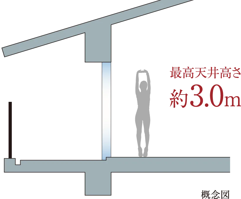 最高天井高さ約3.0m