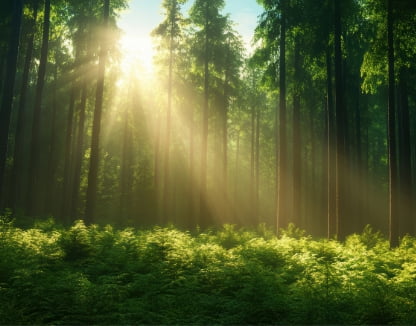 SUSTAINABLEイメージ