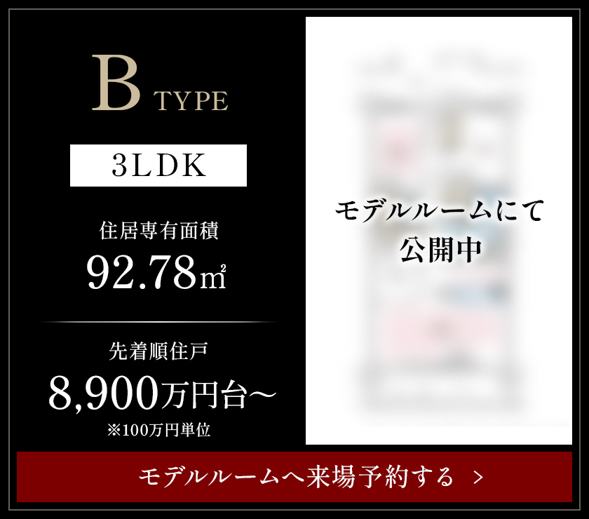 B TYPE