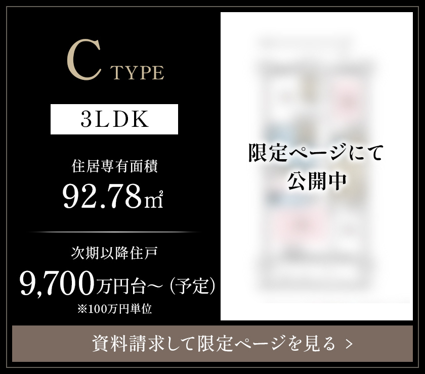 C TYPE